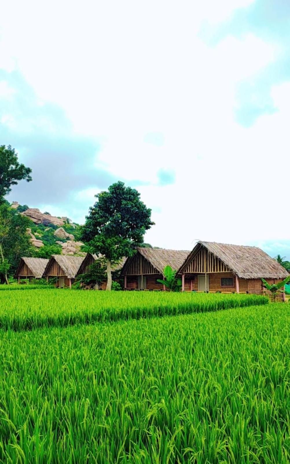 Om Shanti Om Home Stay & Cafe Хампи Экстерьер фото