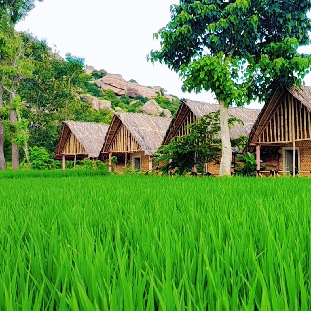 Om Shanti Om Home Stay & Cafe Хампи Экстерьер фото